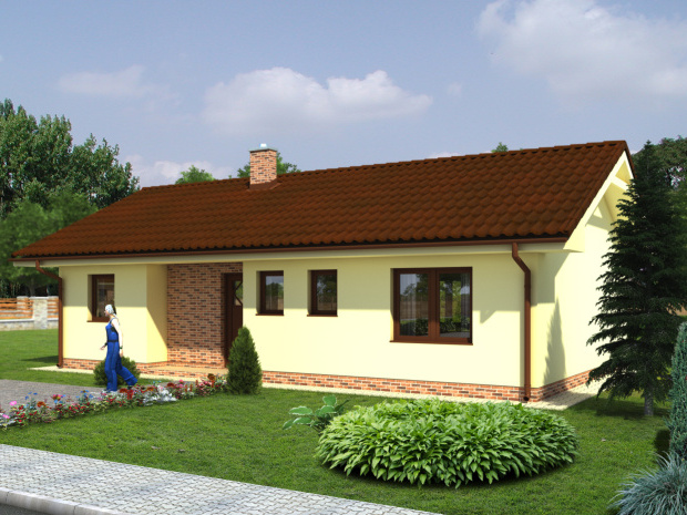 Array - perspektiva PL